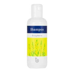 Shampoo Königskerze